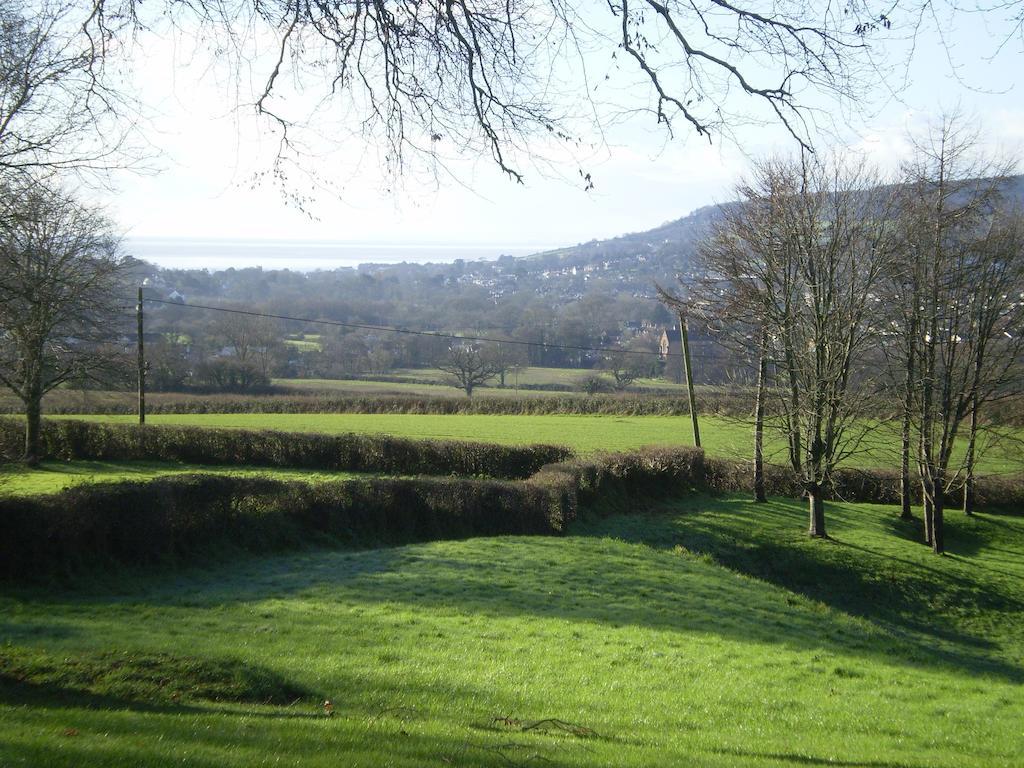 Buckley Farmhouse B & B Sidmouth Værelse billede