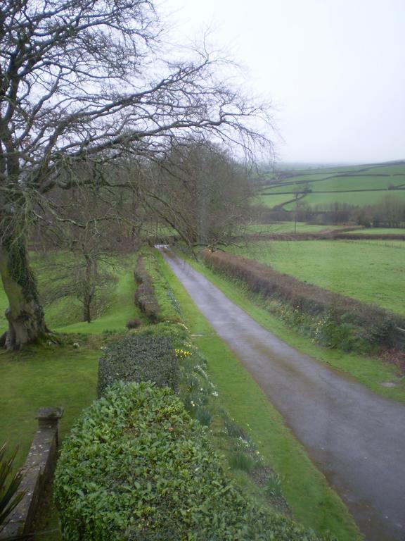 Buckley Farmhouse B & B Sidmouth Eksteriør billede