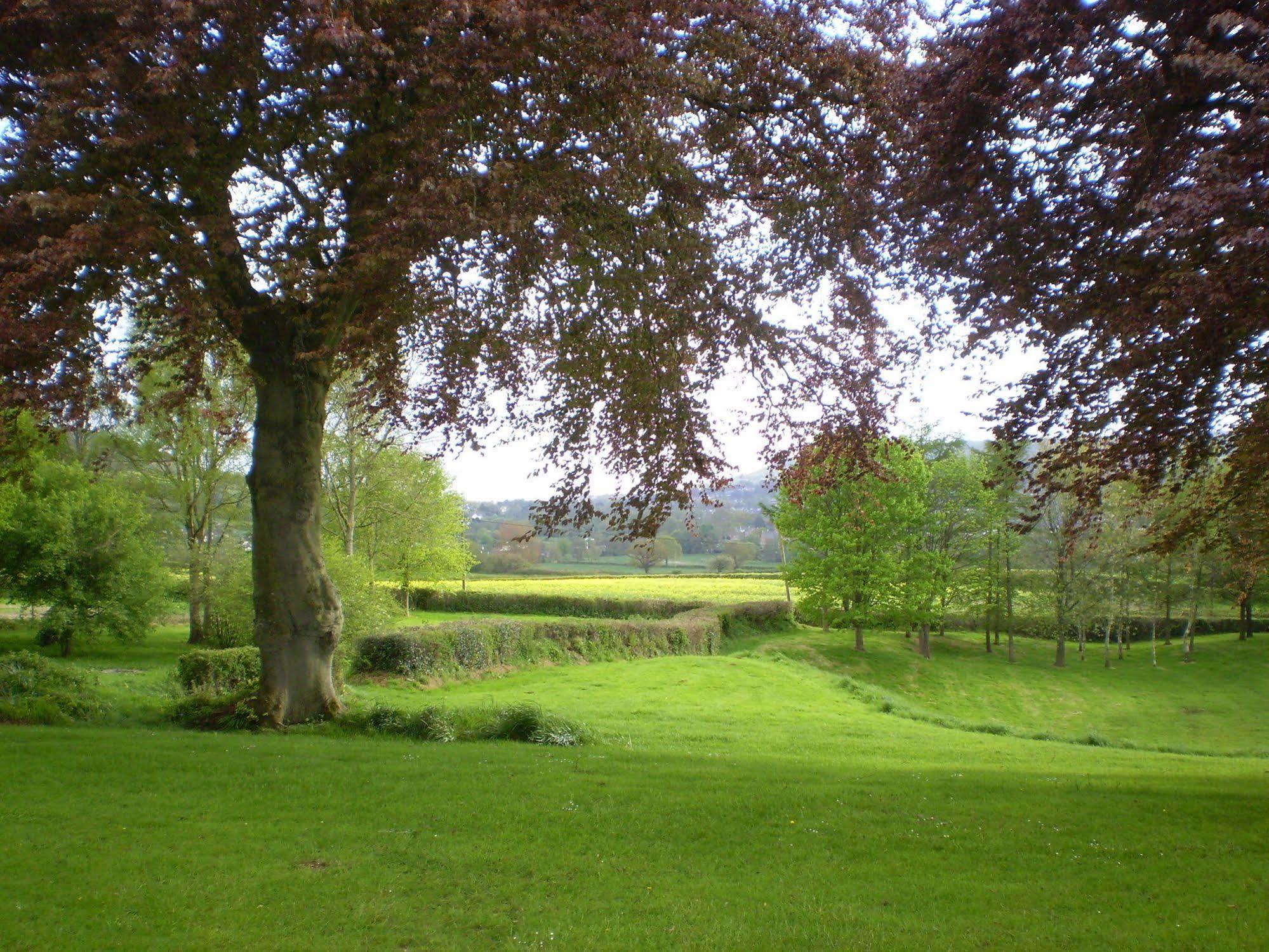 Buckley Farmhouse B & B Sidmouth Eksteriør billede