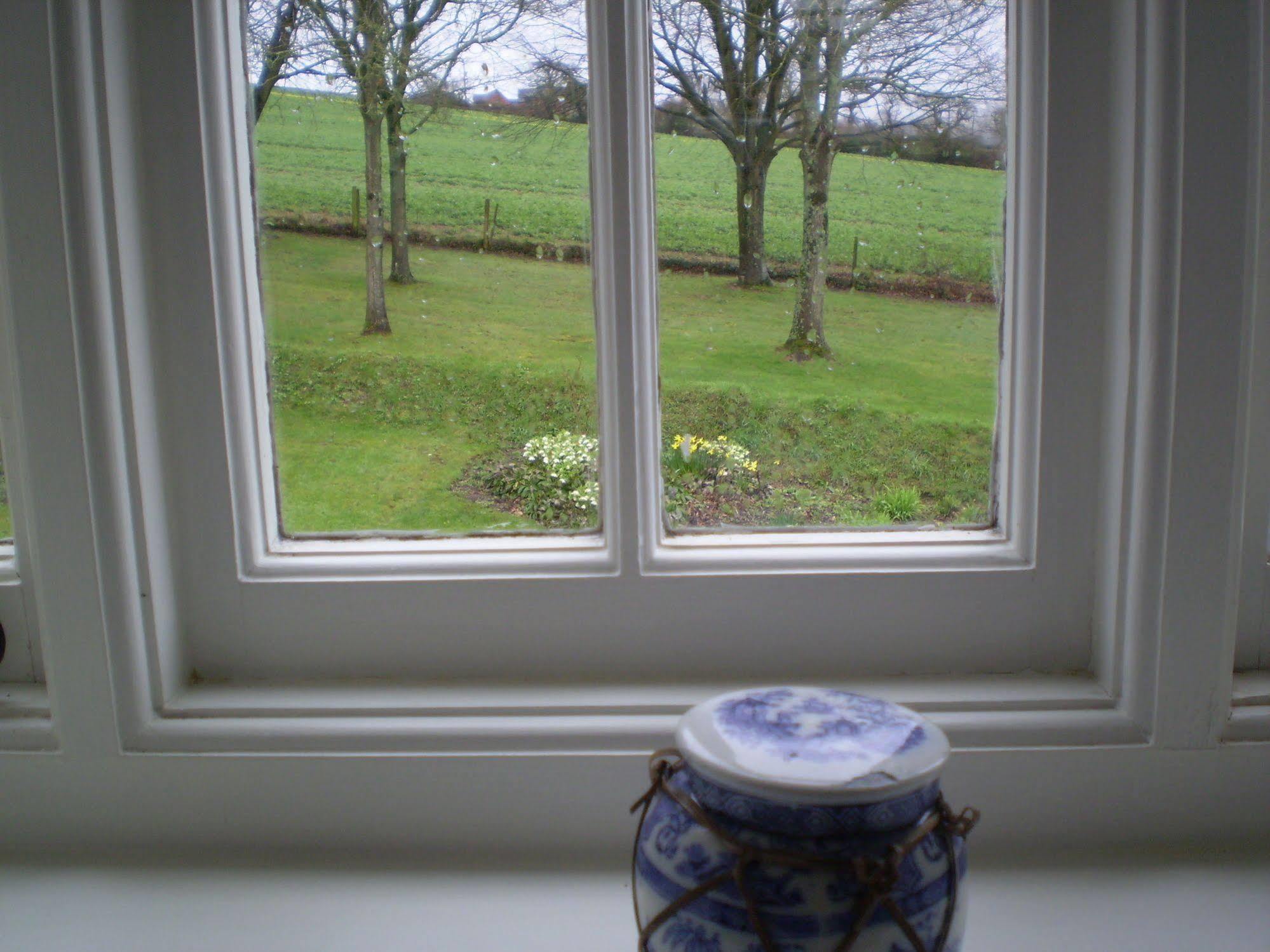 Buckley Farmhouse B & B Sidmouth Eksteriør billede