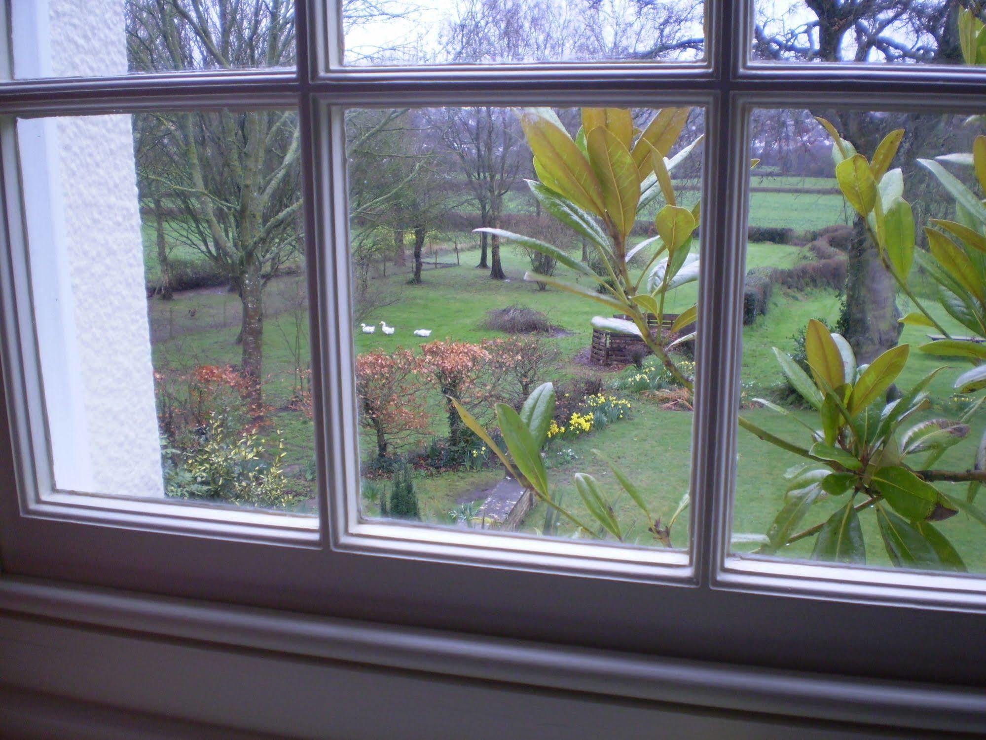 Buckley Farmhouse B & B Sidmouth Eksteriør billede