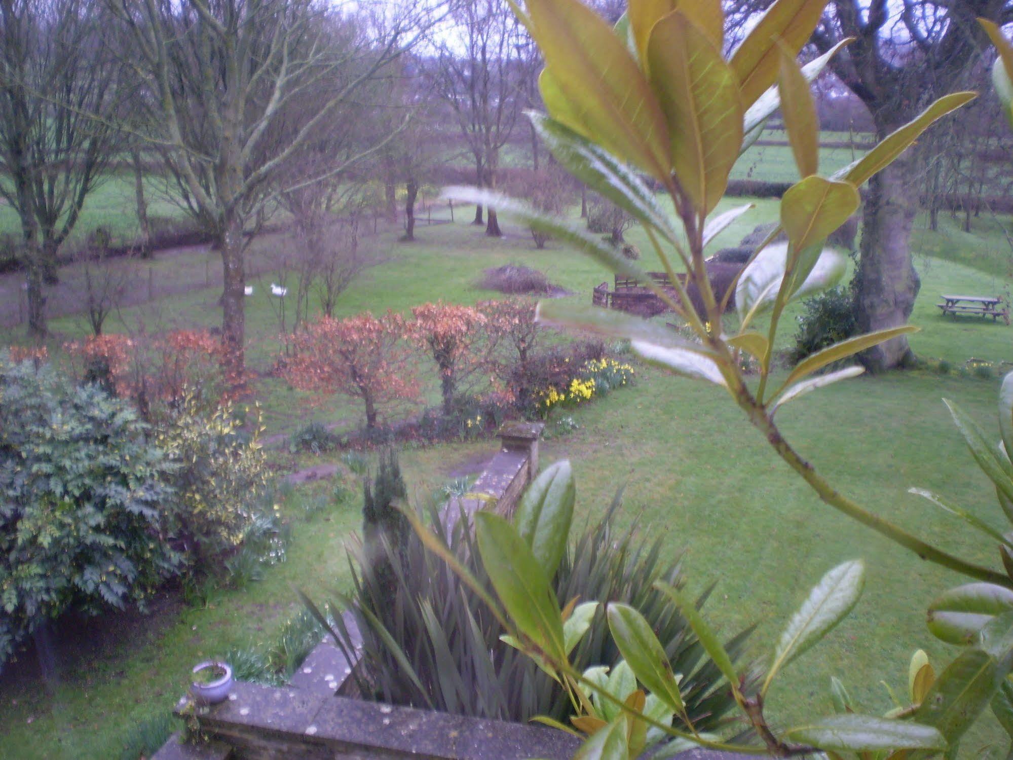 Buckley Farmhouse B & B Sidmouth Eksteriør billede